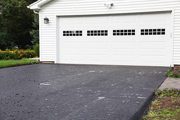 Best Basement Cleanout  in Wakarusa, IN